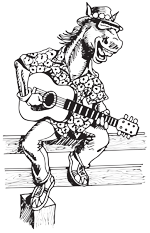 Saratoga Guitar